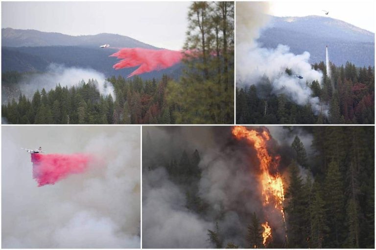 Kalifornian metsäpalo: Highway Fire poltti 25 hehtaaria maata, evakuointi määrättiin – Valokuvat