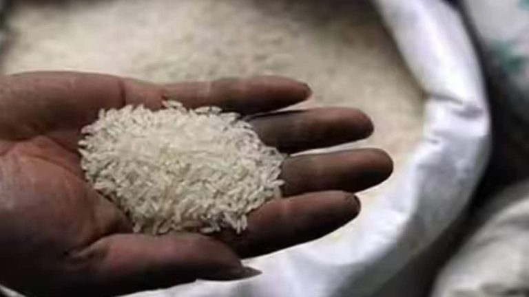 Maatalousmarkkinoiden runkopaikat Intian riisikaupan rajoitusten poistamiseksi