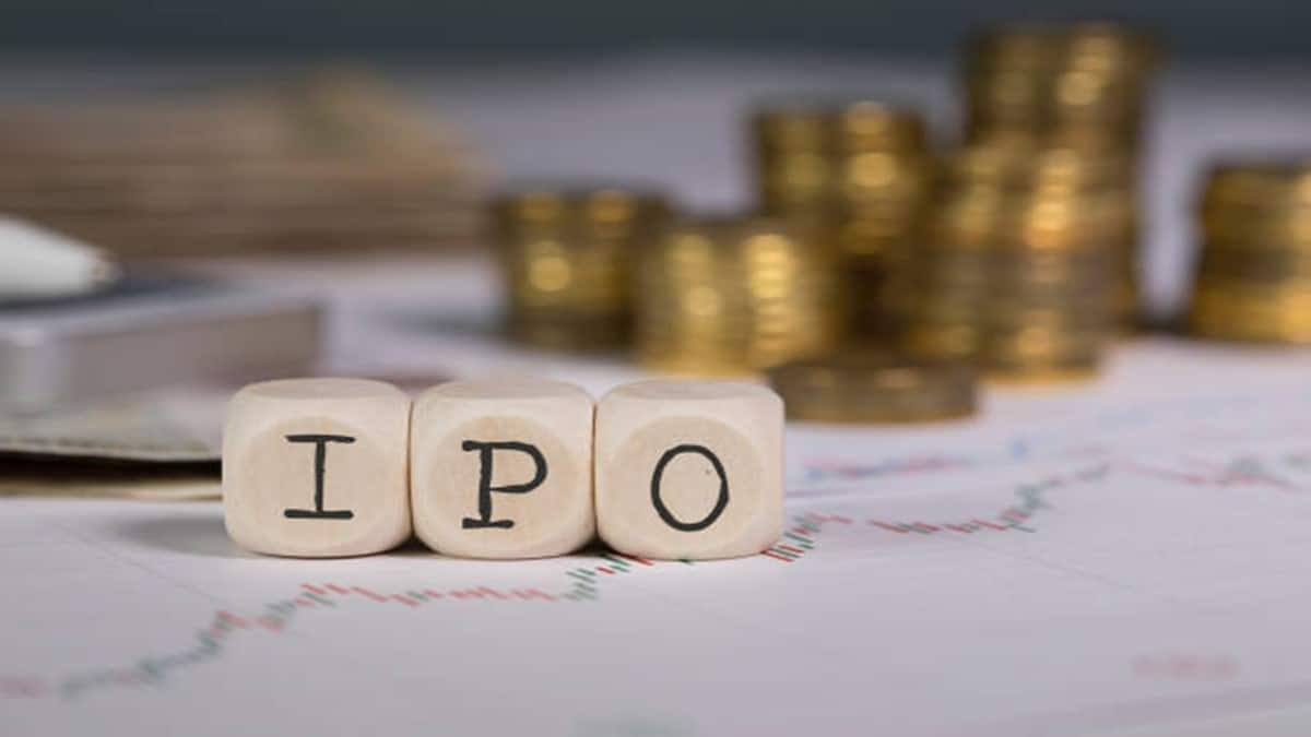 IPO news, Ipo, Tata Tech, Tata Sons, latest news, business news, top news,