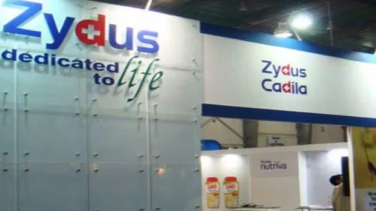 Zydus Lifesciences shares after q2 results