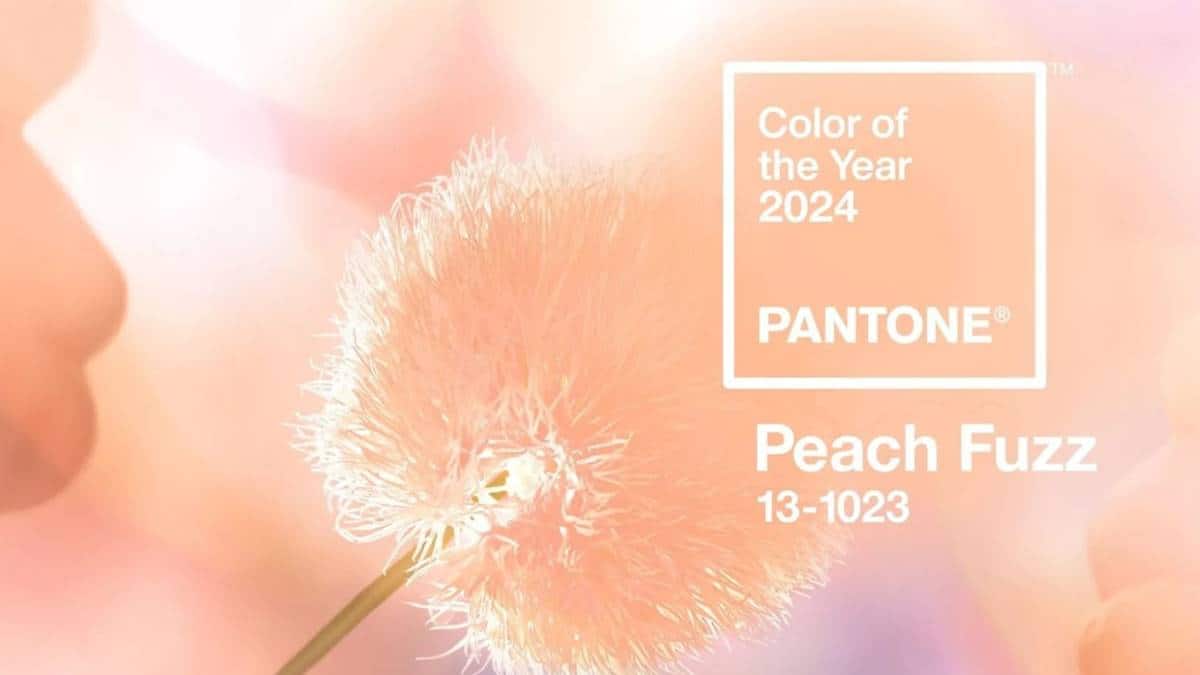 Pantone, Pantone colour, Pantone colour of 2024, 2024 Pantone colour, Pantone peach fuzz, peach fuzz, lifestyle