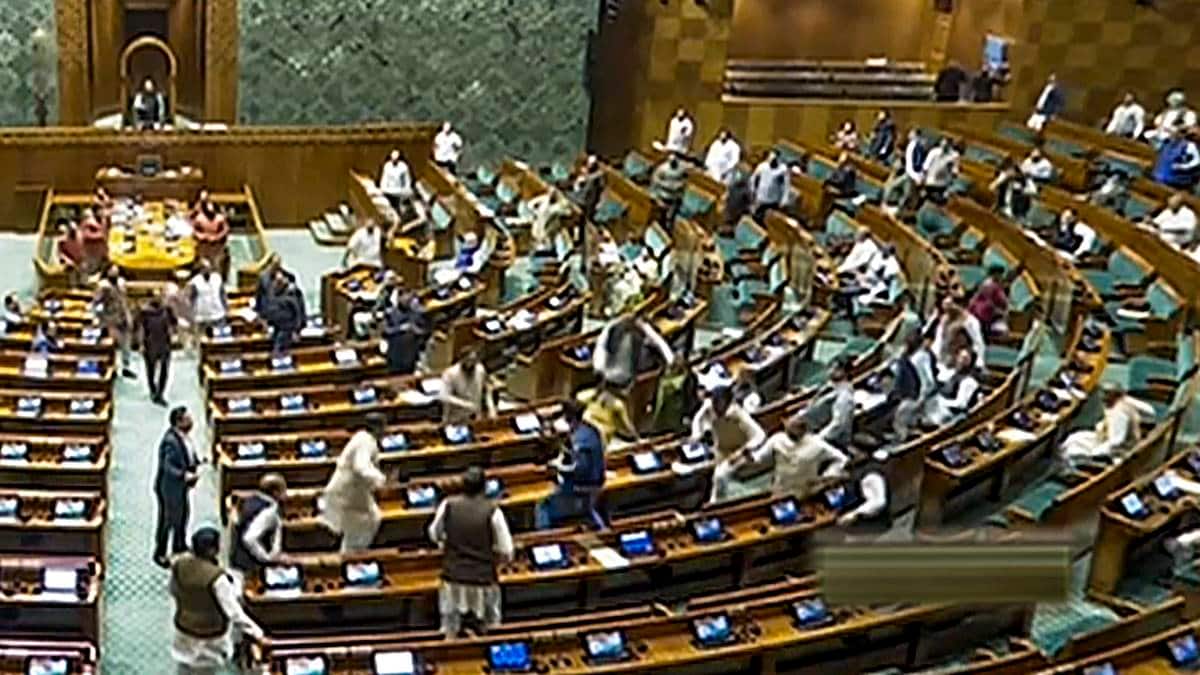 Parliament breach video shows MPs manhandling intruder.