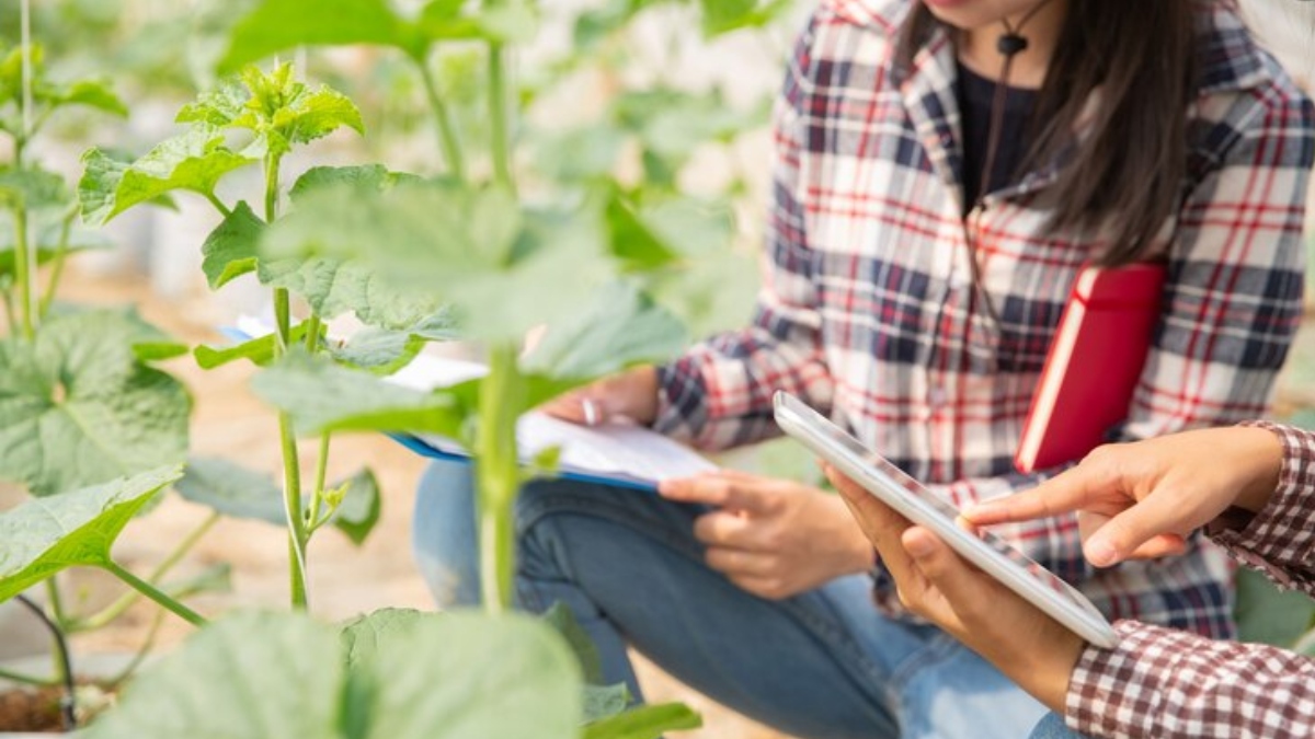 IGNOU invites applications for online programmes in agriculture.