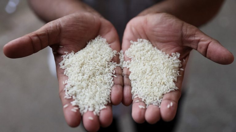 Millers käski ilmoittaa riisivarastot joka viikko – Commodities News