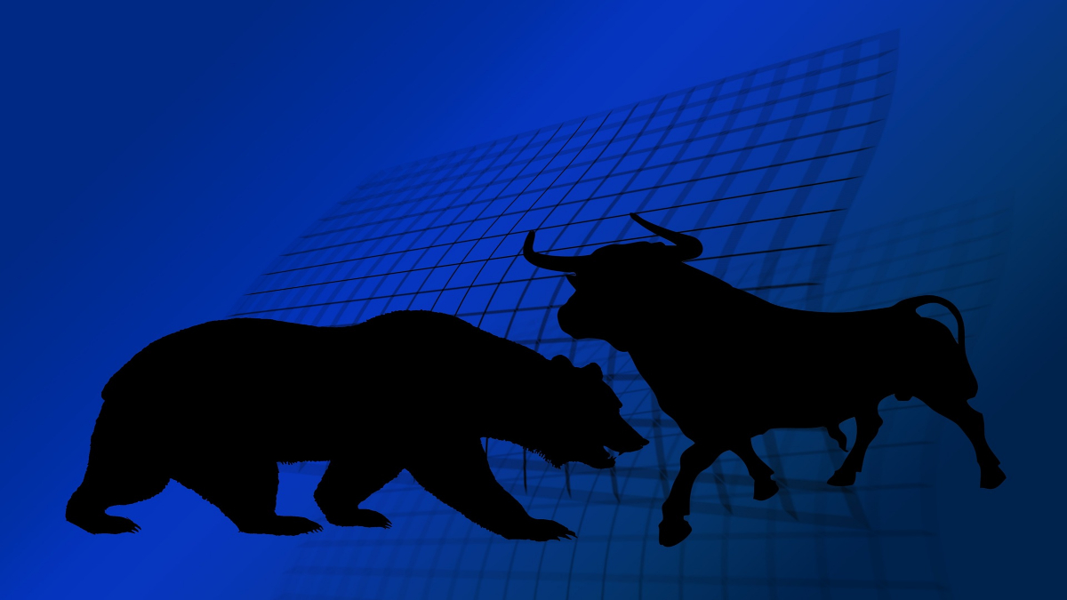Bull and bear of stock exchange