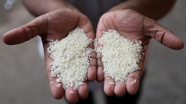 Riisivarastot ovat 4-kertaiset puskuriin verrattuna 57 MT – Commodities News